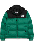 North Face Green Puffer